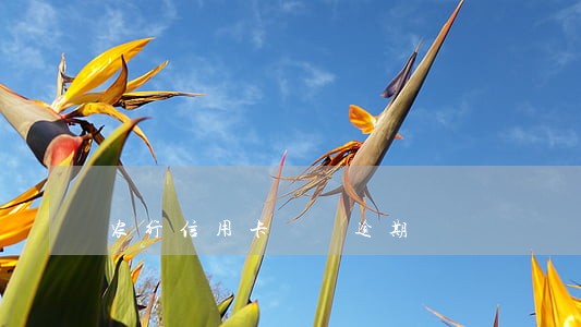 农行信用卡  逾期